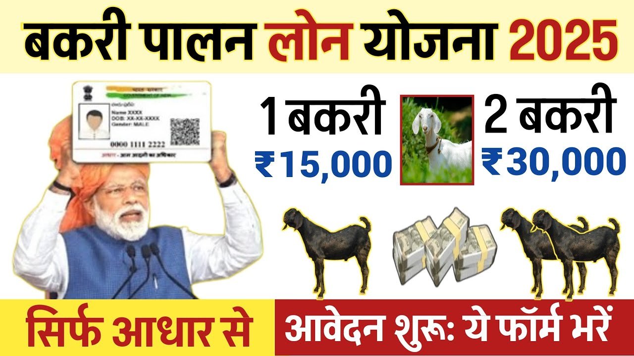 बकरी पालन योजना